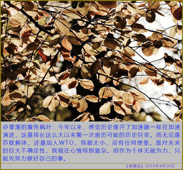 https://i.postimg.cc/Zqn16dNz/20250420-bt-1.jpg