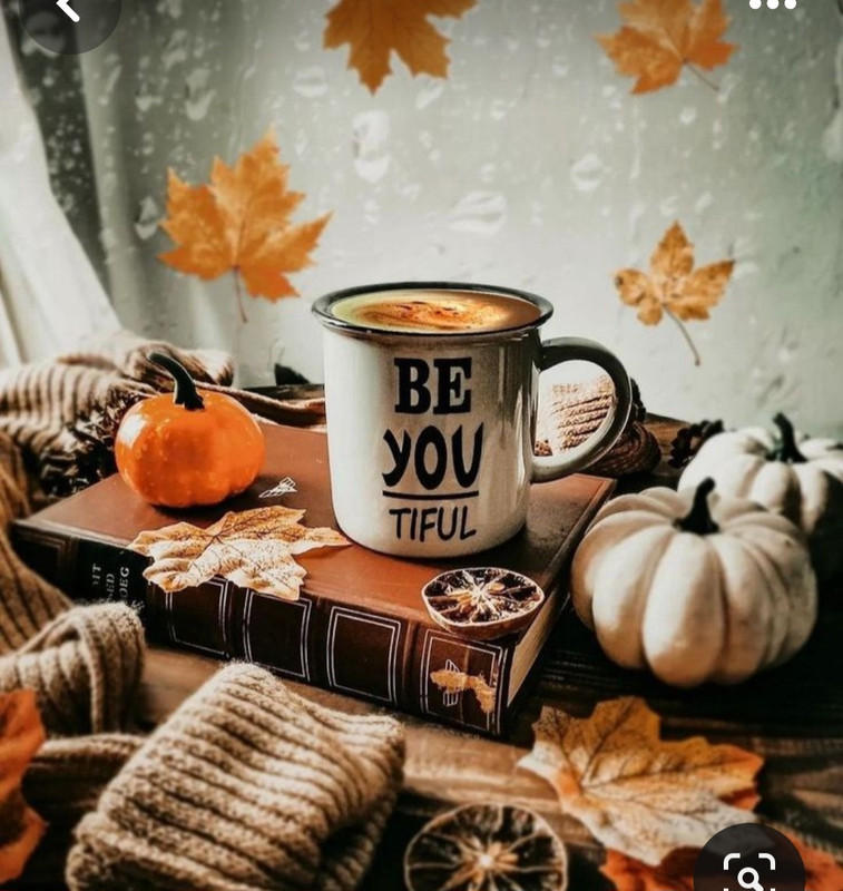 Screenshot_20230830_230256_Pinterest