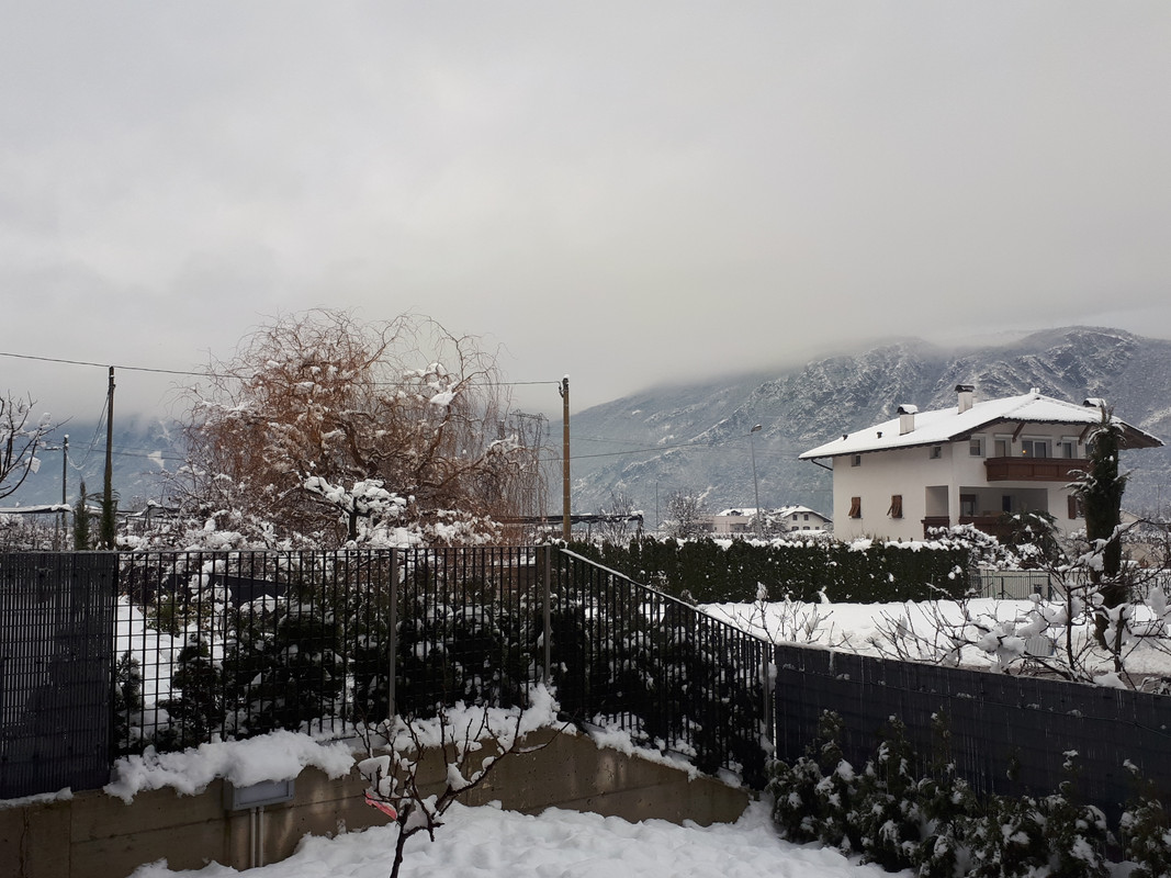 20190202_092724