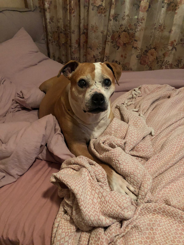 IMG 20251216 WA0011 1