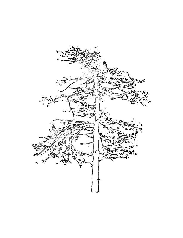 p0003
