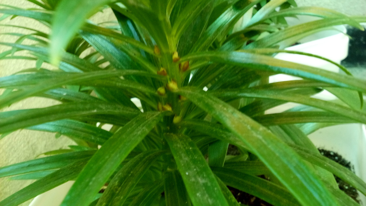 20180910_161743