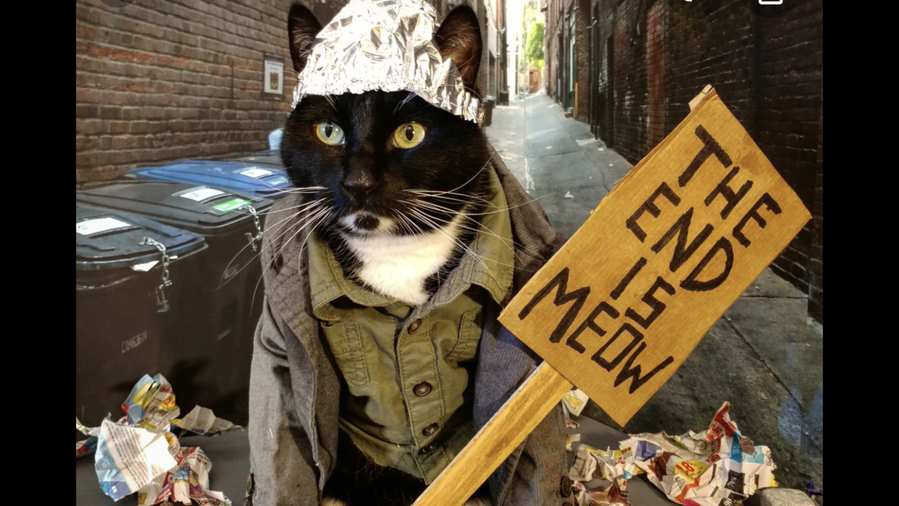 1350684F-486C-4056-AAE6-772F7F280E70