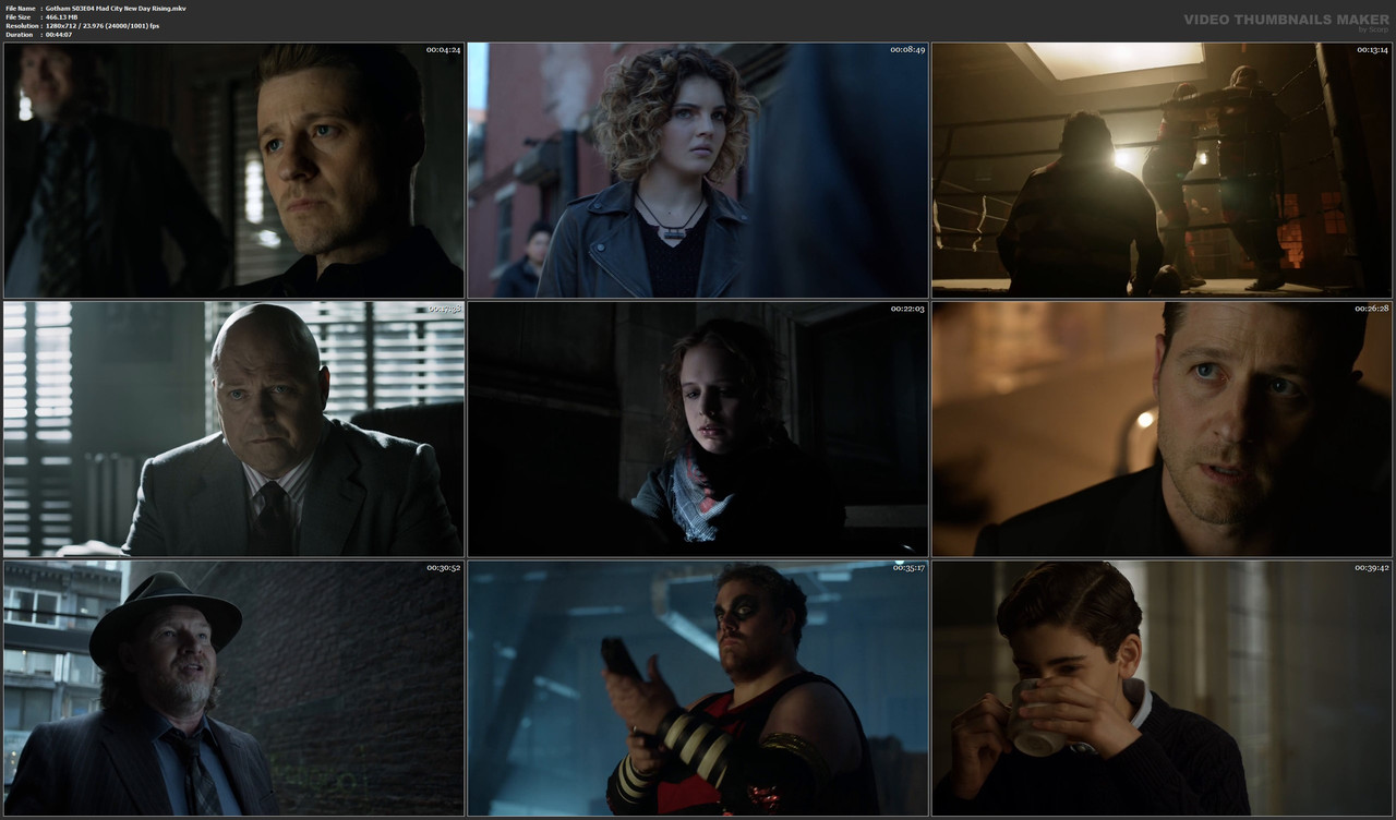 Gotham S03E04 Mad City New Day Rising.mkv