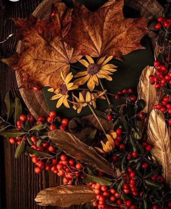 Screenshot_20221215-201613_Chrome