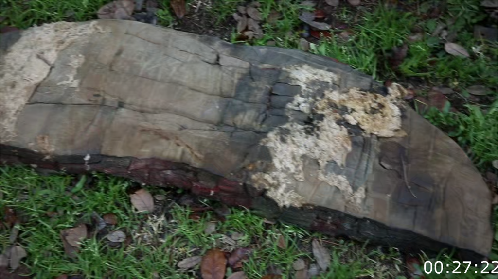 [Image: lrpg6dm7bf10.png]