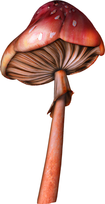Kastagnette_PrettyGarden (104)