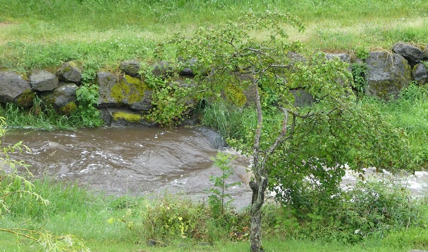 P1090147.jpg