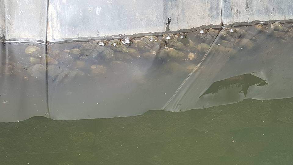 [Image: FB-IMG-1557280379634.jpg]