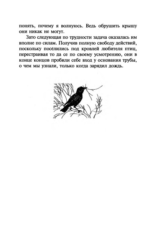 p0271