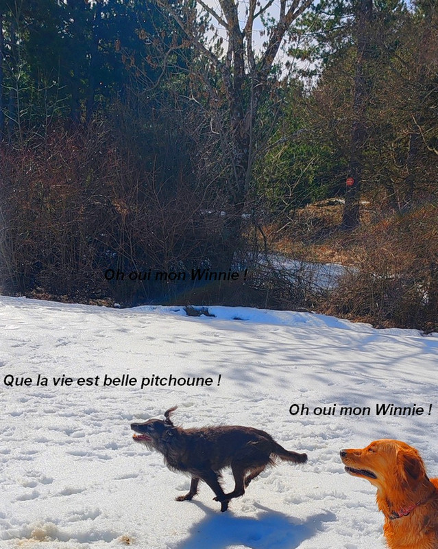 IMG-20260222- 115344bb