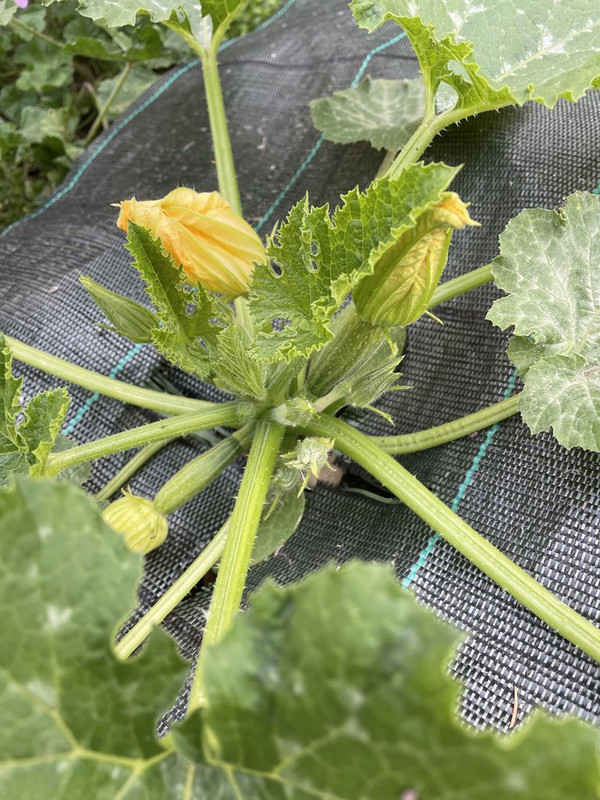 FF751BCD-7740-4222-B65B-E7A6C3B2EA8C