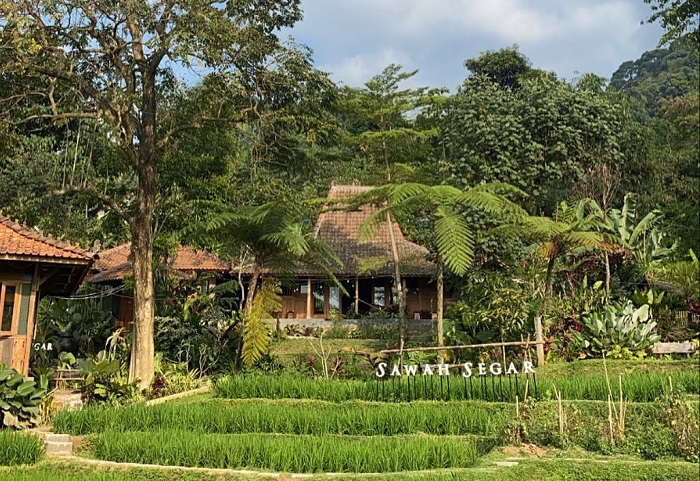 Sawah Segar Sentul