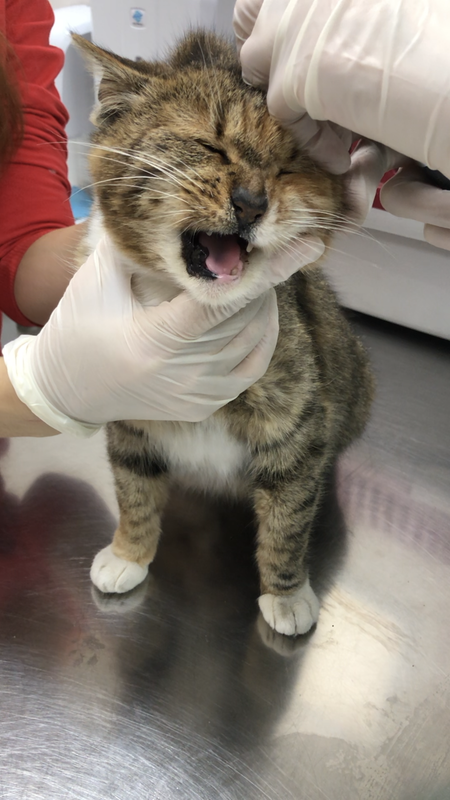 CAED79BC-3DFF-480B-9F46-41CF4762C31E