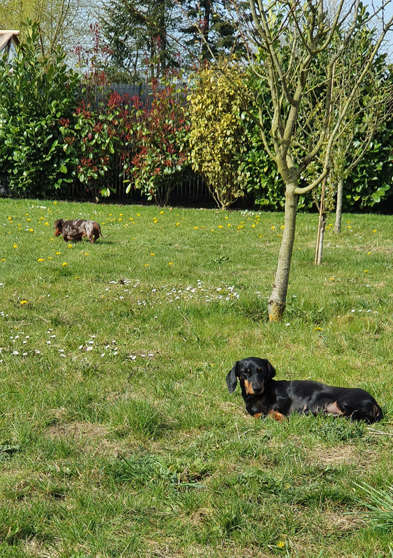 [Image: 20220412-110224.jpg]