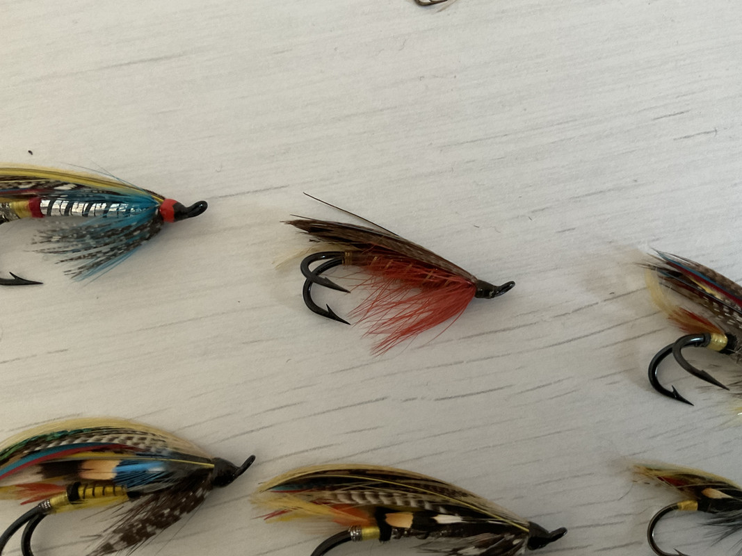 69033353-2DA0-4E95-AB7F-A099EA3C5446