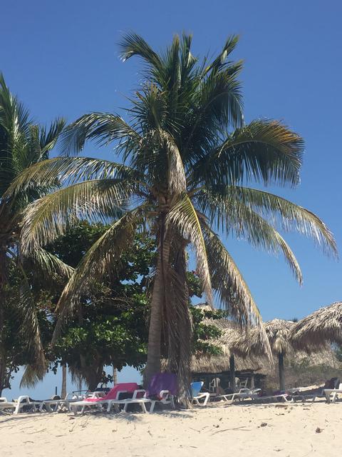 Y por fin: ¡CUBA! - Blogs de Cuba - Día 9: Trinidad (Cayo Iguana) (3)