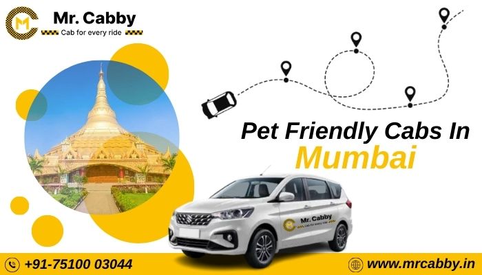 Book Pet Friendly Cabs In Mumbai Mr Cabby