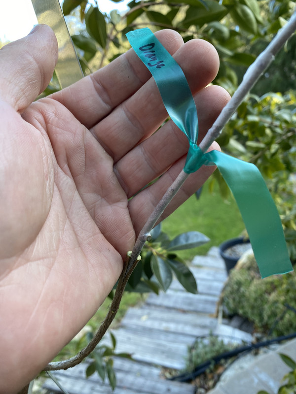 37CE88B0-9F78-47FB-8C63-579E5075208D