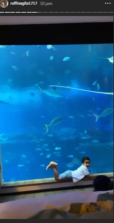 Rafathar berpose di depan kaca pemandangan laut di dalam kamar hotel berharga fantastis