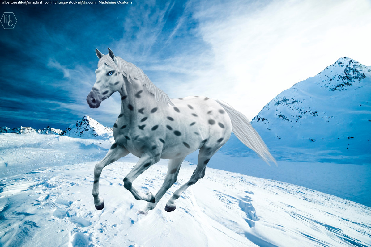 0DABB89C-ECA6-4EC6-A364-F737C7A70689