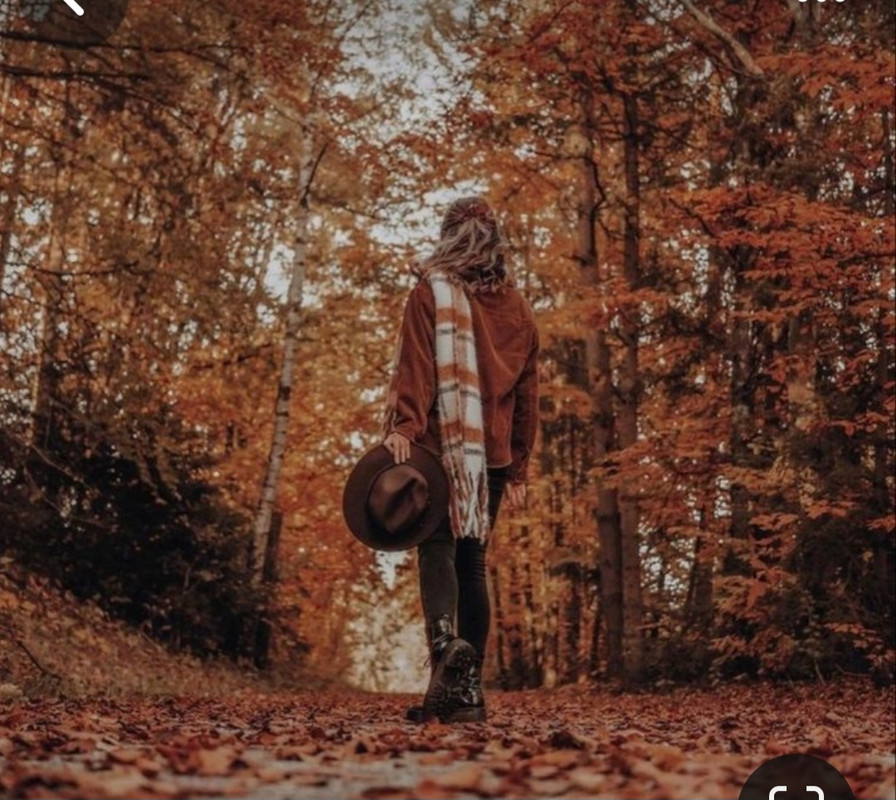 Screenshot_20231117_205921_Pinterest