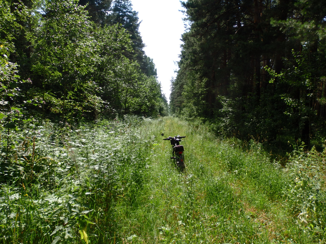 P7200068