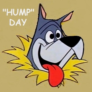 Funny-Astro