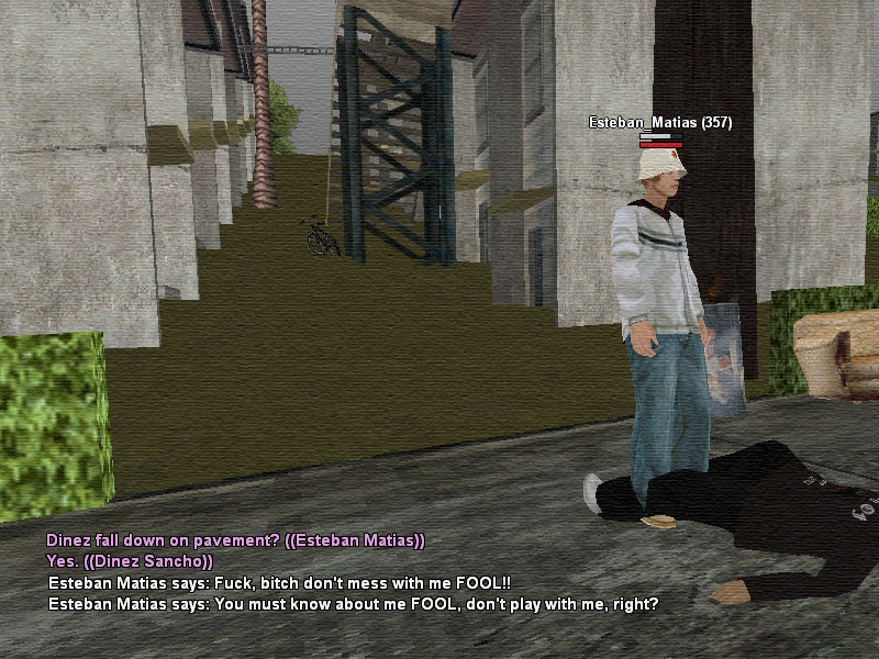 SSRoleplay05.png