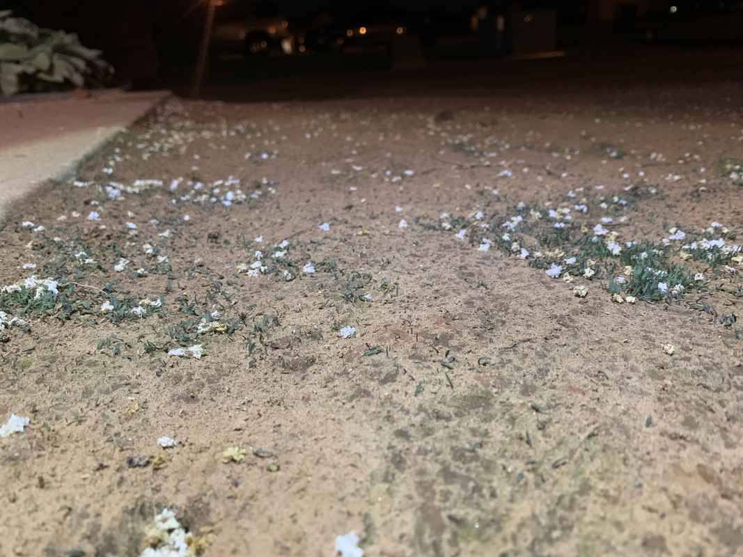 14230451-1F35-46EF-9994-779FC1DA39D5