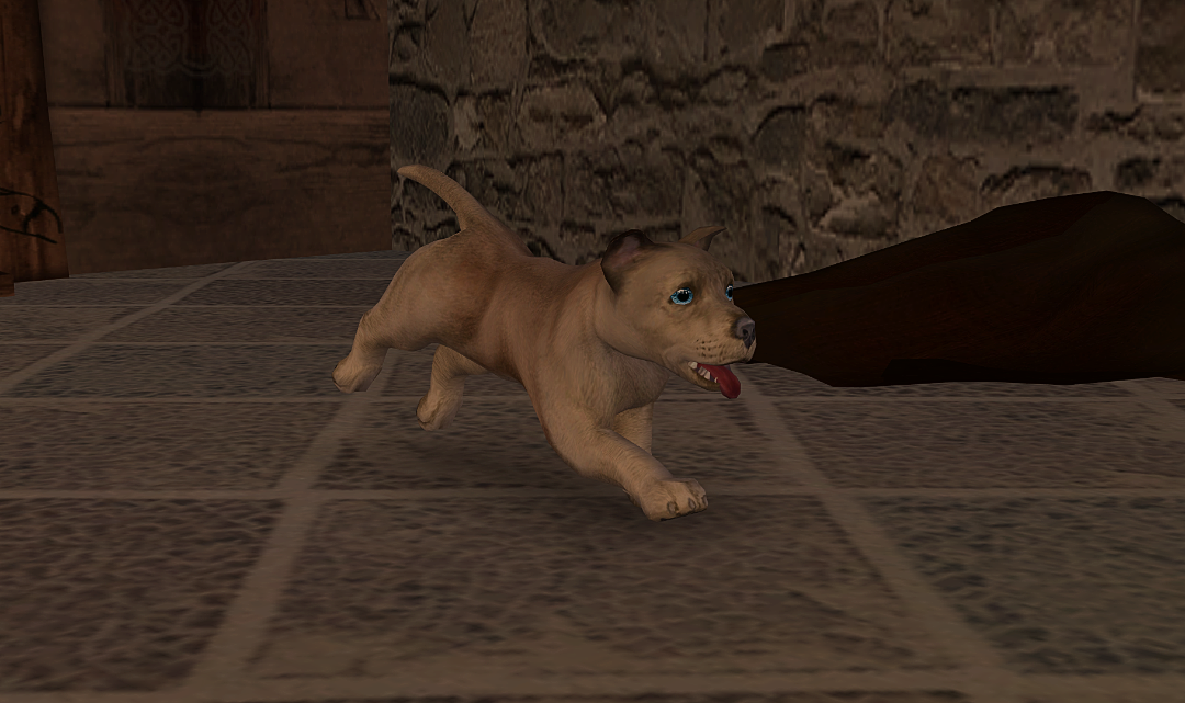 screenshot-2026-06-14-12-05