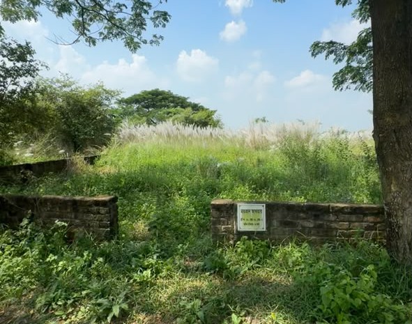হস্তান্তরিত প্লট