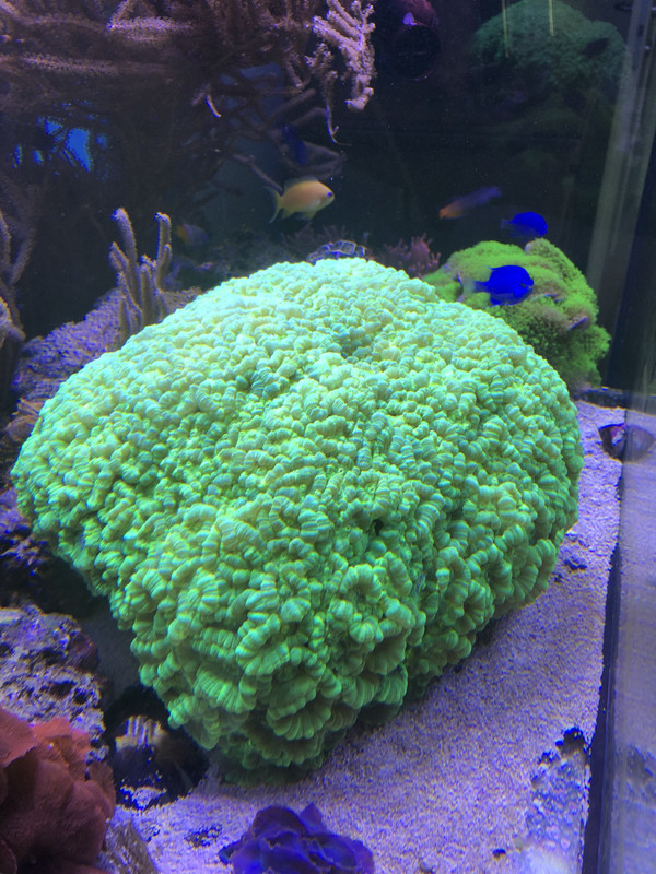 825DB5DA-79FF-40C0-842B-9C67B1DCD038