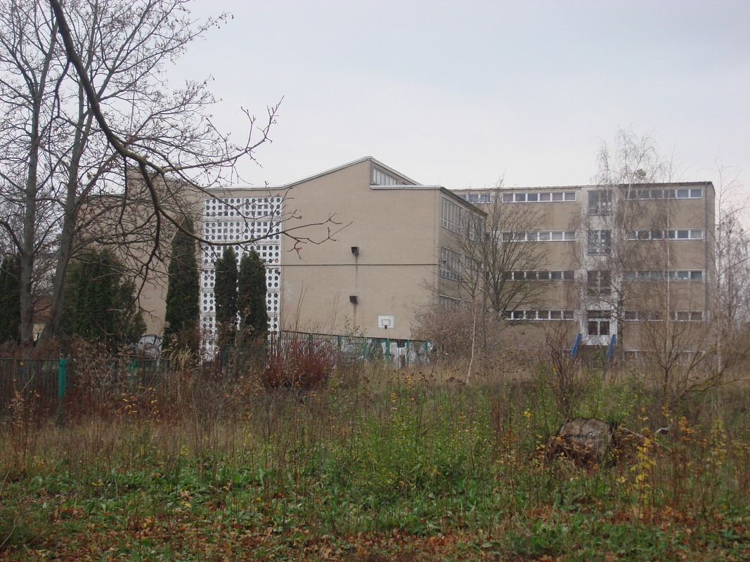 DSC08690.jpg