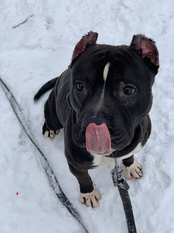 95216779-7BE7-42F7-B767-99CCC538B556