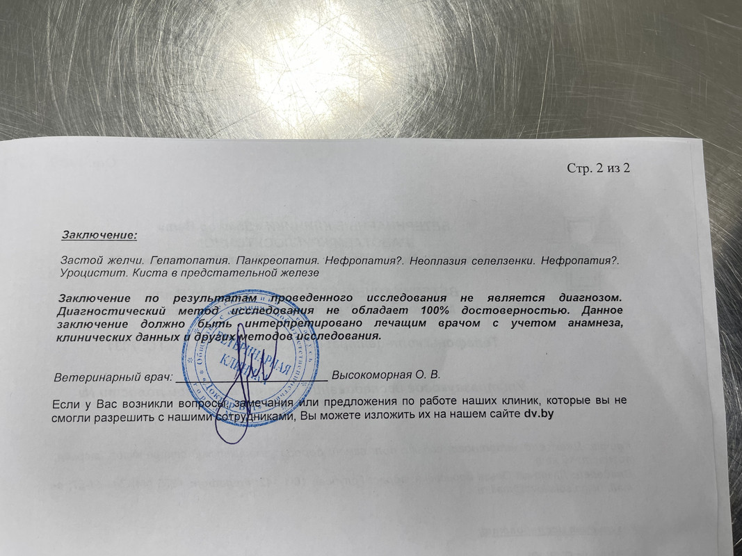 429C1E28-1B57-4DE8-A0F3-69C4F024CC9E