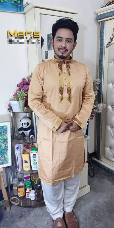 Premium Sequence Panjabi