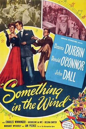 Something In The Wind (1947) [REPACK] [720p] [BluRay] [YTS MX]