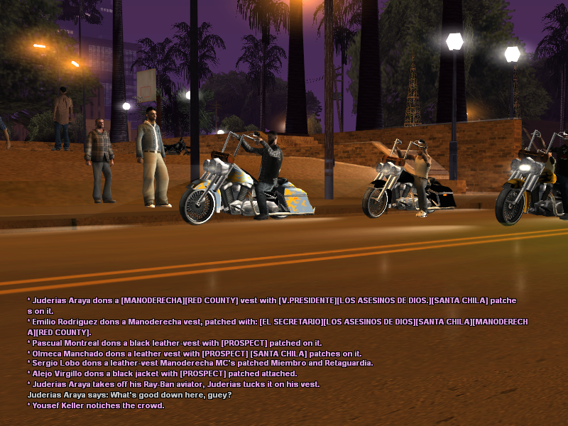 SSRoleplay541.png