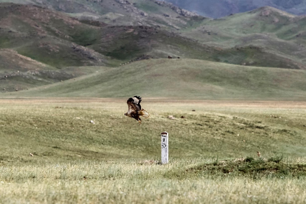 [Image: doi-cat-biet-hat-9.jpg]