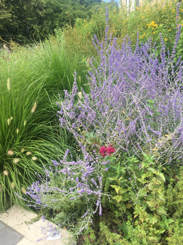 DFB2D2E2-A930-4A08-AD84-CE94782CFEA4