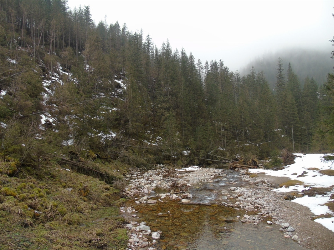 009 - DSC00615 (1280x960) (PawelK)