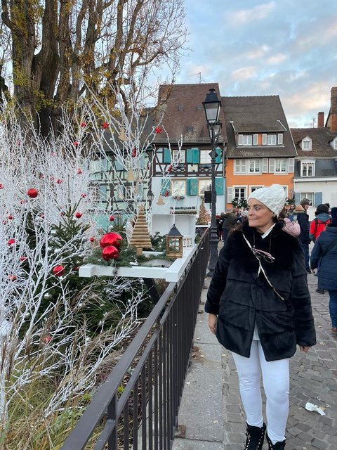 Puente de la Inmaculada 2022 en Alsacia - Blogs de Francia - ALSACIA EN NAVIDAD VISITANDO EL CASTILLO DE ALSACIA, COLMAR Y ESTRASBURGO. (23)