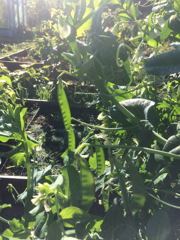 100A17FC-0D0A-41A3-8E53-3516B44E3382