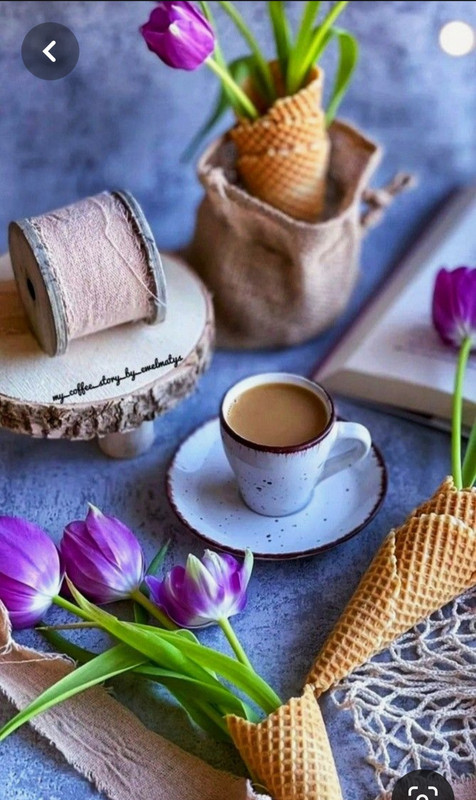 Screenshot_20230528_211426_Pinterest