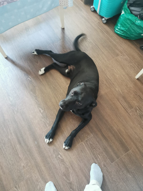 5BA752E0-2F12-4D3C-92CA-AA9686B32761