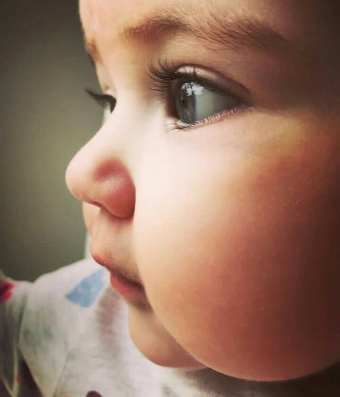 C1B6BE4E-0ACF-4AD0-A748-19D72E1B6C39