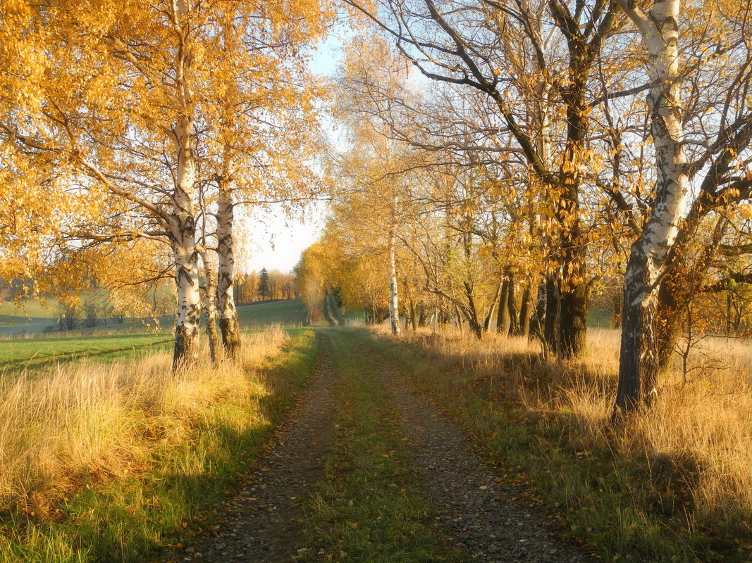 09239713_cfrmllvnewhbqb