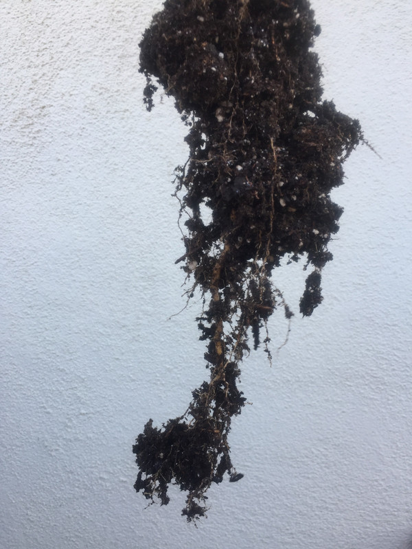 1F0D9BB3-1374-4FE7-A484-5E0C437AFC90