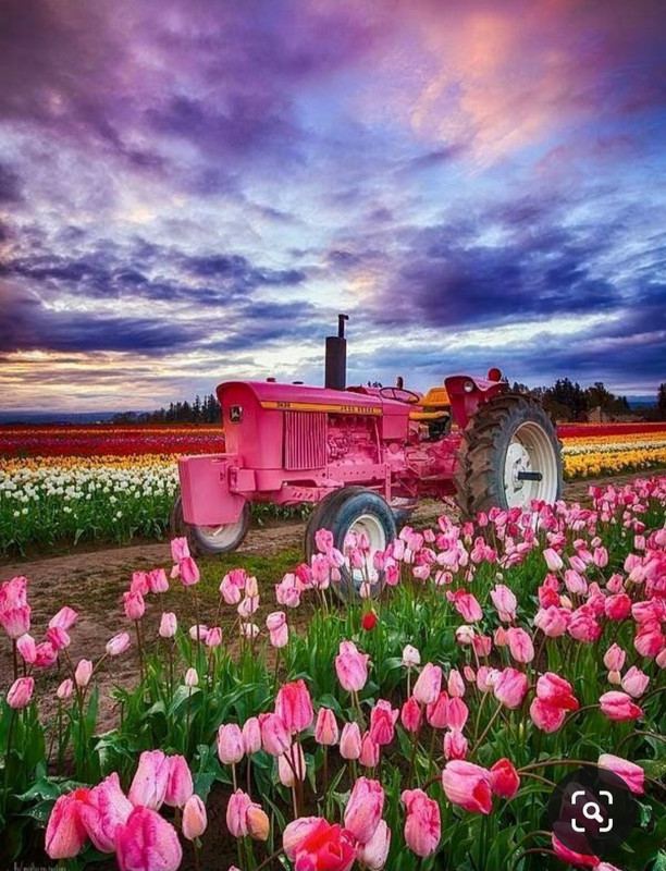 Screenshot_20230719_223224_Pinterest